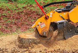 Best Emergency Tree Removal  in Slaughterville, OK