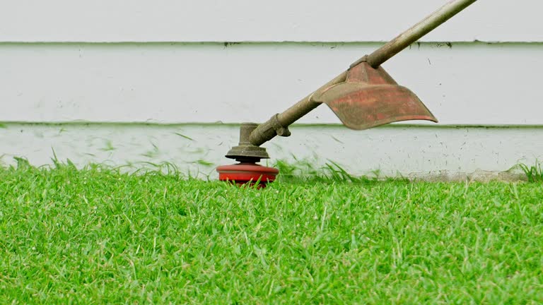 Best Lawn Pest Prevention  in Slaughterville, OK