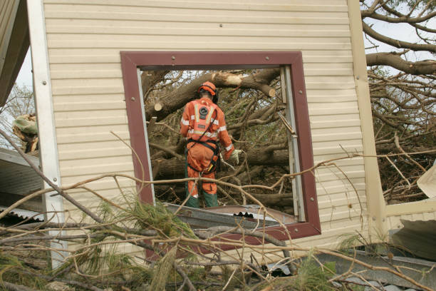 Best Tree Disease Treatment  in Slaughterville, OK