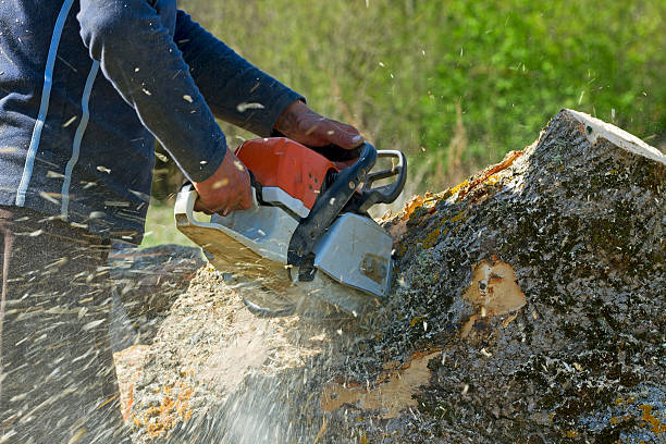 Lawn Irrigation Installation and Maintenance in Slaughterville, OK