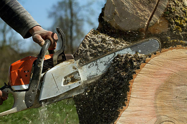 Best Aeration Services  in Slaughterville, OK